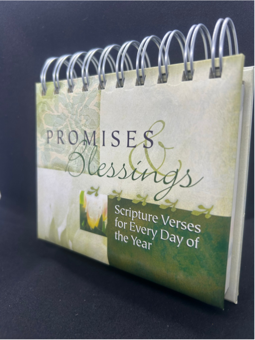 DaySpring Promises & Blessings Scripture Daily Calendar One Size Green White